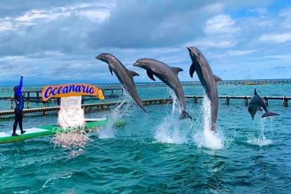AQUAPARK