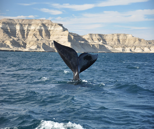 Puerto Madryn